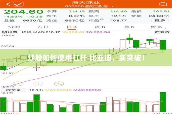 炒股如何使用杠杆 比亚迪，新突破！