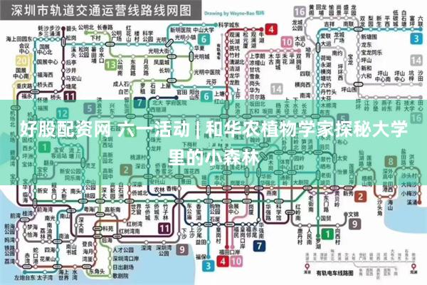 好股配资网 六一活动 | 和华农植物学家探秘大学里的小森林