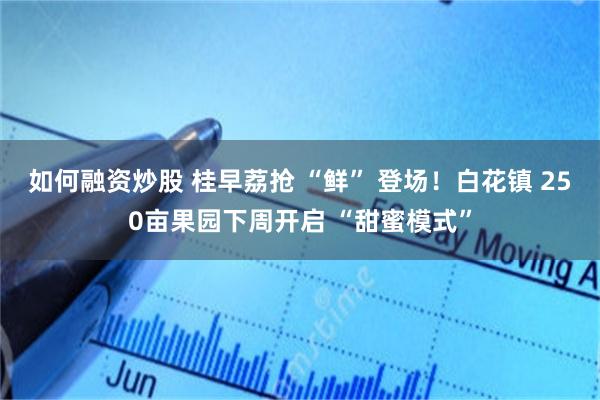 如何融资炒股 桂早荔抢 “鲜” 登场！白花镇 250亩果园下周开启 “甜蜜模式”