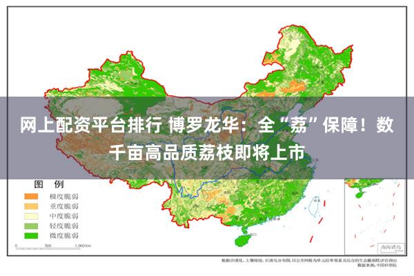 网上配资平台排行 博罗龙华：全“荔”保障！数千亩高品质荔枝即将上市