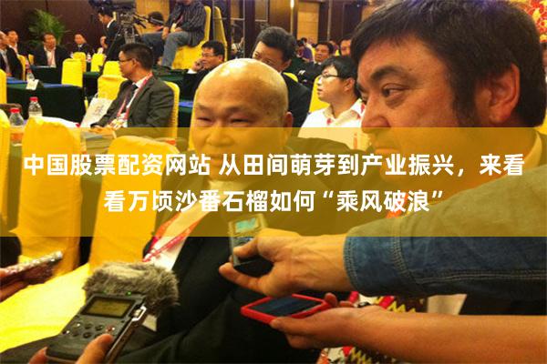 中国股票配资网站 从田间萌芽到产业振兴，来看看万顷沙番石榴如何“乘风破浪”