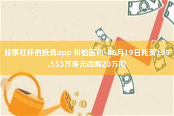 股票杠杆的投资app 和铂医药-B6月19日耗资155.553万港元回购20万股