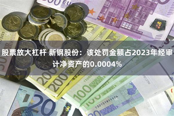 股票放大杠杆 新钢股份：该处罚金额占2023年经审计净资产的0.0004%