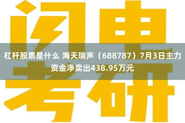 杠杆股票是什么 海天瑞声（688787）7月3日主力资金净卖出438.95万元