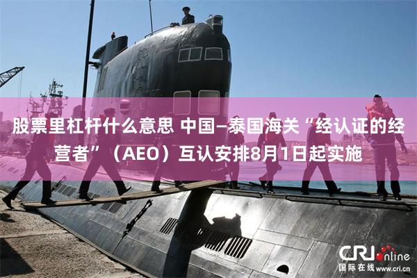 股票里杠杆什么意思 中国—泰国海关“经认证的经营者”（AEO）互认安排8月1日起实施