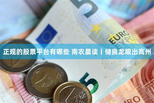 正规的股票平台有哪些 南农晨读丨储良龙眼出高州