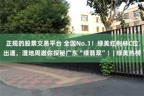 正规的股票交易平台 全国No.1！绿美红树林C位出道，湿地周邀你探秘广东“绿翡翠”！| 绿美热榜