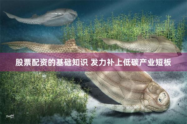 股票配资的基础知识 发力补上低碳产业短板
