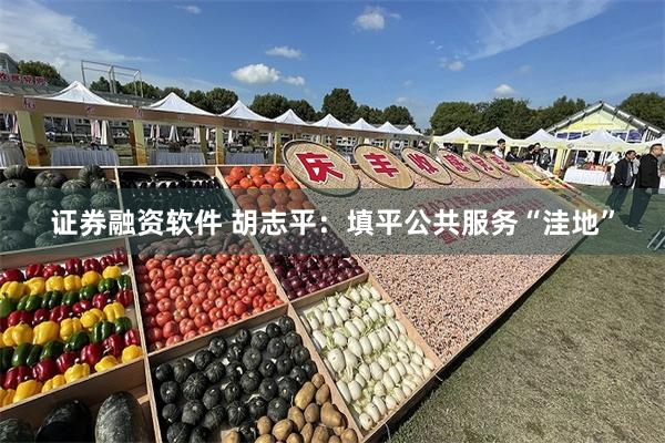 证券融资软件 胡志平：填平公共服务“洼地”