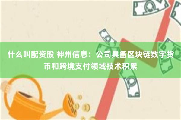 什么叫配资股 神州信息:公司具备区块链数字货币和跨境支付领域技术积累