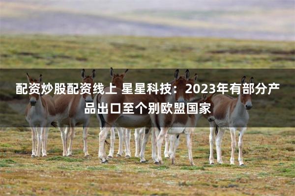 配资炒股配资线上 星星科技：2023年有部分产品出口至个别欧盟国家