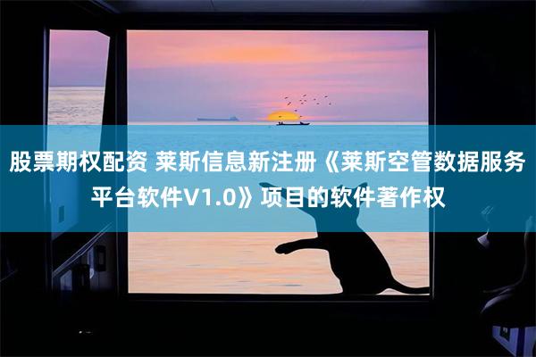 股票期权配资 莱斯信息新注册《莱斯空管数据服务平台软件V1.0》项目的软件著作权