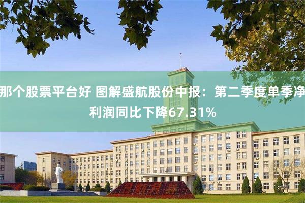 那个股票平台好 图解盛航股份中报：第二季度单季净利润同比下降67.31%
