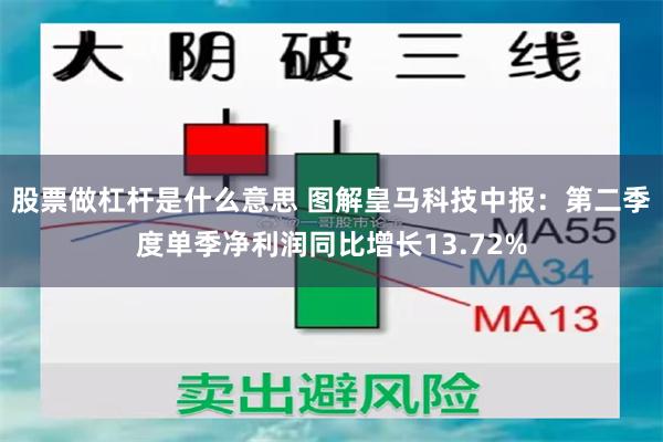 股票做杠杆是什么意思 图解皇马科技中报：第二季度单季净利润同比增长13.72%