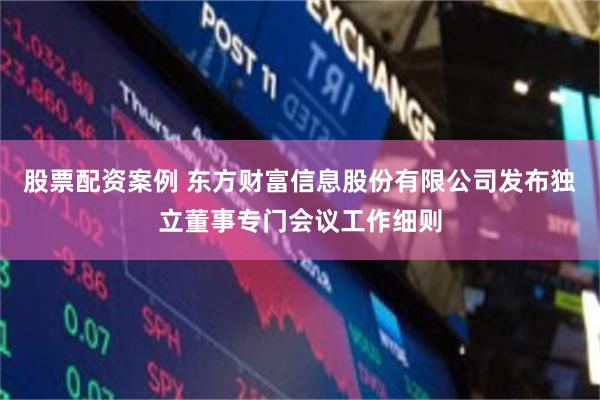 股票配资案例 东方财富信息股份有限公司发布独立董事专门会议工作细则