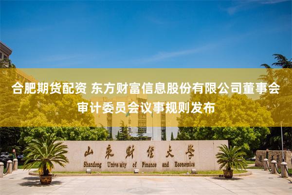 合肥期货配资 东方财富信息股份有限公司董事会审计委员会议事规则发布