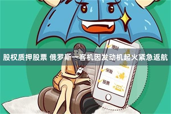 股权质押股票 俄罗斯一客机因发动机起火紧急返航