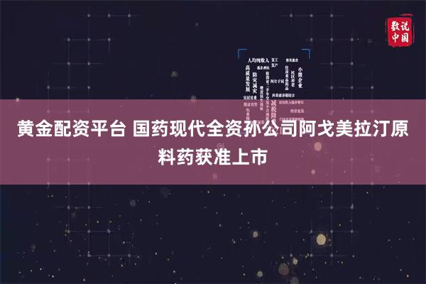 黄金配资平台 国药现代全资孙公司阿戈美拉汀原料药获准上市