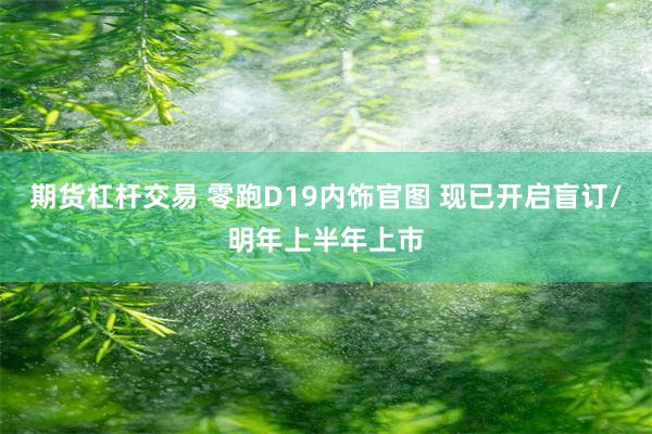 期货杠杆交易 零跑D19内饰官图 现已开启盲订/明年上半年上市