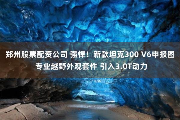 郑州股票配资公司 强悍!新款坦克300 V6申报图 专业越野外观套件 引入3.0T动力