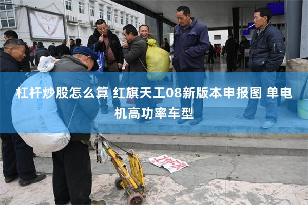 杠杆炒股怎么算 红旗天工08新版本申报图 单电机高功率车型