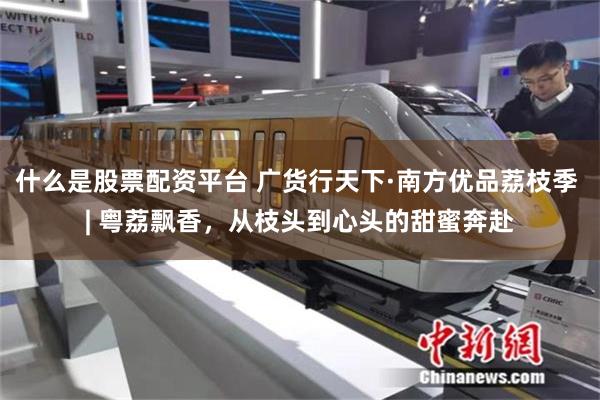 什么是股票配资平台 广货行天下·南方优品荔枝季 | 粤荔飘香，从枝头到心头的甜蜜奔赴