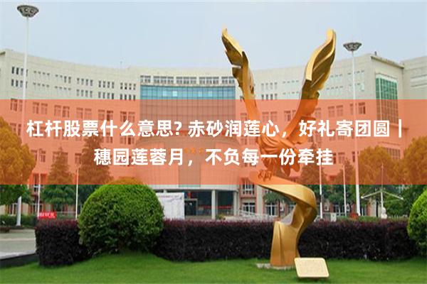 杠杆股票什么意思? 赤砂润莲心，好礼寄团圆｜穗园莲蓉月，不负每一份牵挂