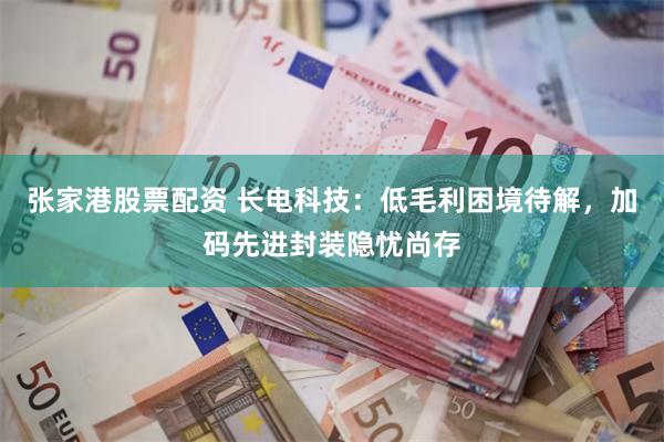 张家港股票配资 长电科技:低毛利困境待解,加码先进封装隐忧尚存