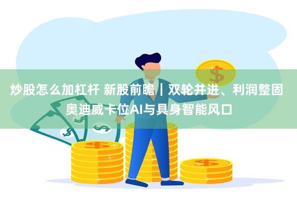 炒股怎么加杠杆 新股前瞻｜双轮并进、利润整固 奥迪威卡位AI与具身智能风口