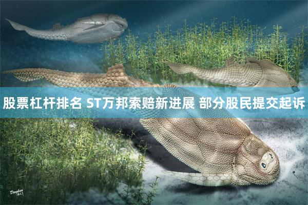 股票杠杆排名 ST万邦索赔新进展 部分股民提交起诉
