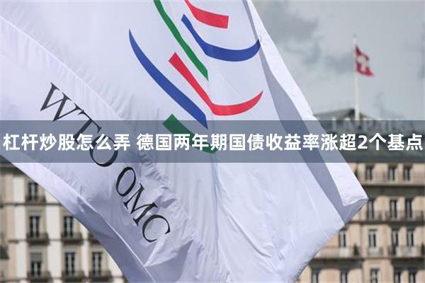 杠杆炒股怎么弄 德国两年期国债收益率涨超2个基点