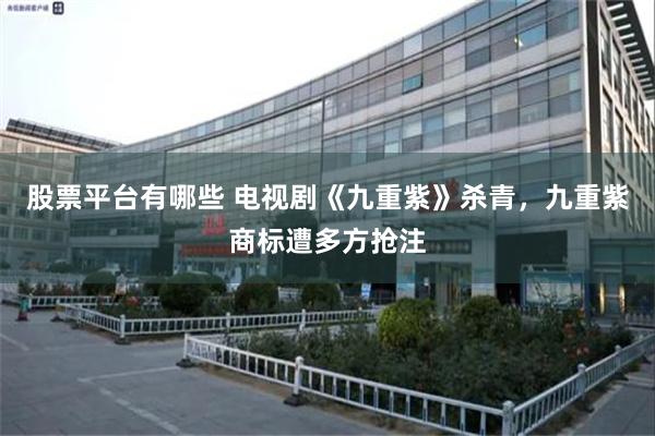 股票平台有哪些 电视剧《九重紫》杀青，九重紫商标遭多方抢注