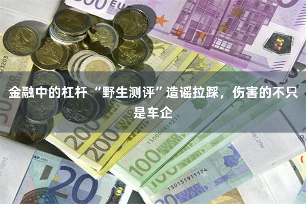 金融中的杠杆 “野生测评”造谣拉踩，伤害的不只是车企