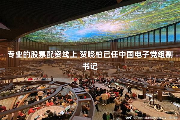 专业的股票配资线上 贺晓柏已任中国电子党组副书记