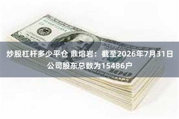 炒股杠杆多少平仓 鼎熔岩:截至2026年7月31日公司股东总数为15486户