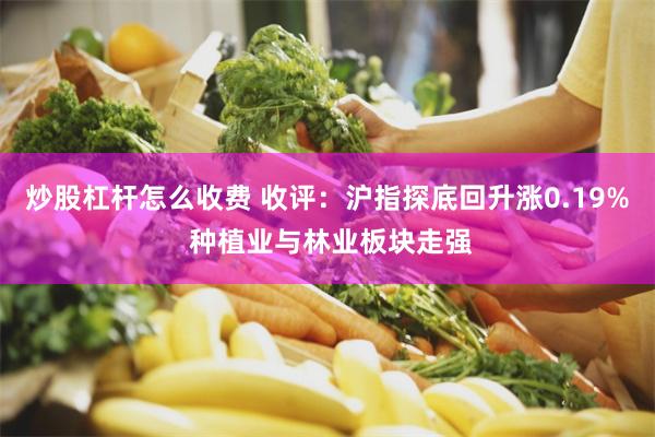 炒股杠杆怎么收费 收评:沪指探底回升涨0.19% 种植业与林业板块走强