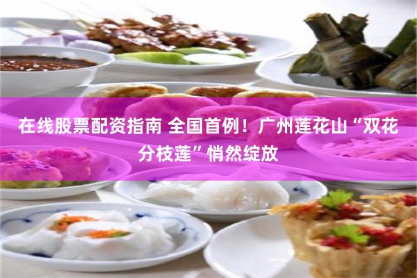 在线股票配资指南 全国首例！广州莲花山“双花分枝莲”悄然绽放