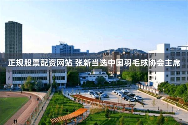 正规股票配资网站 张新当选中国羽毛球协会主席