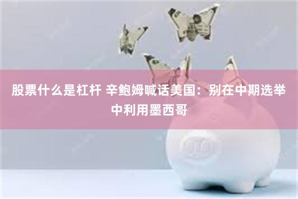 股票什么是杠杆 辛鲍姆喊话美国：别在中期选举中利用墨西哥