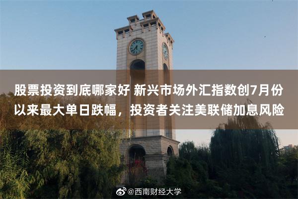 股票投资到底哪家好 新兴市场外汇指数创7月份以来最大单日跌幅，投资者关注美联储加息风险