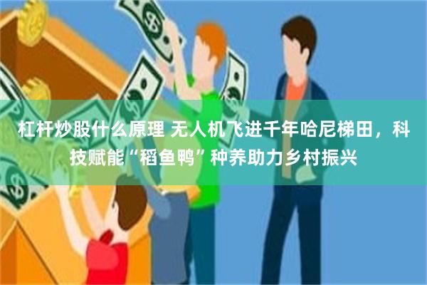 杠杆炒股什么原理 无人机飞进千年哈尼梯田，科技赋能“稻鱼鸭”种养助力乡村振兴