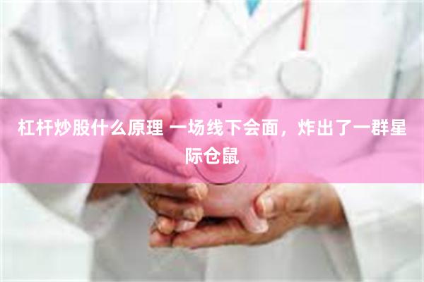 杠杆炒股什么原理 一场线下会面,炸出了一群星际仓鼠