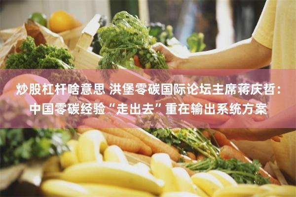 炒股杠杆啥意思 洪堡零碳国际论坛主席蒋庆哲：中国零碳经验“走出去”重在输出系统方案