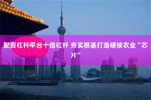配资杠杆平台十倍杠杆 夯实根基打造硬核农业“芯片”