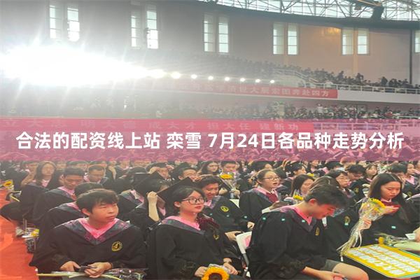 合法的配资线上站 栾雪 7月24日各品种走势分析