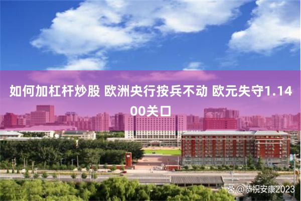 如何加杠杆炒股 欧洲央行按兵不动 欧元失守1.1400关口