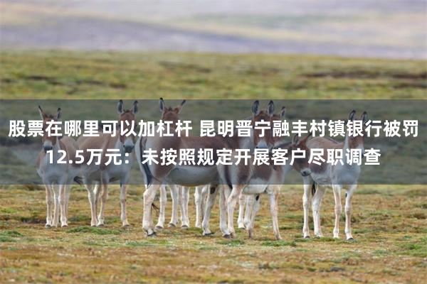 股票在哪里可以加杠杆 昆明晋宁融丰村镇银行被罚12.5万元：未按照规定开展客户尽职调查