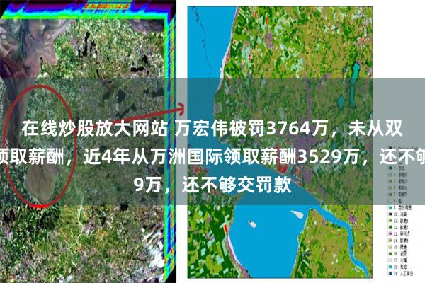 在线炒股放大网站 万宏伟被罚3764万，未从双汇发展领取薪酬，近4年从万洲国际领取薪酬3529万，还不够交罚款