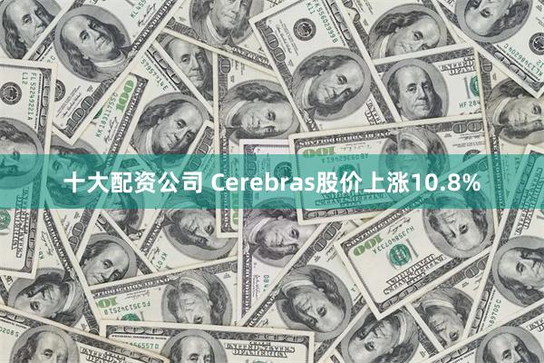 十大配资公司 Cerebras股价上涨10.8%