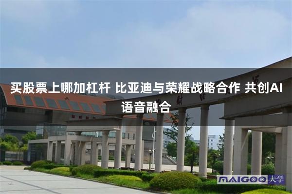 买股票上哪加杠杆 比亚迪与荣耀战略合作 共创AI语音融合